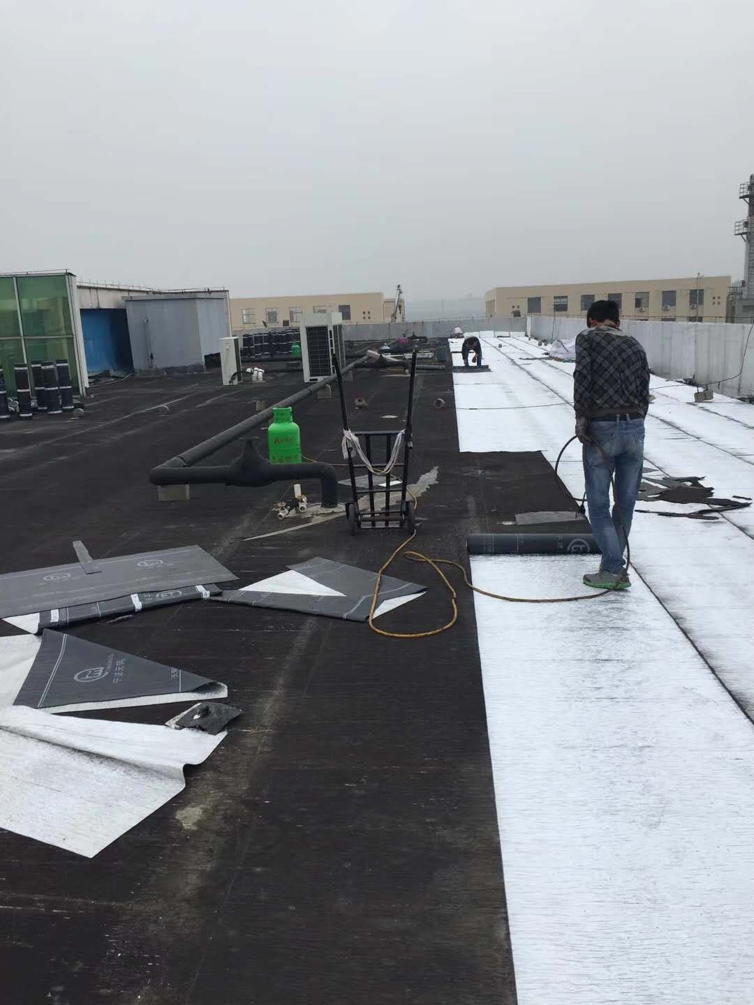 1540198224128579.jpg 1540198224128579.jpg